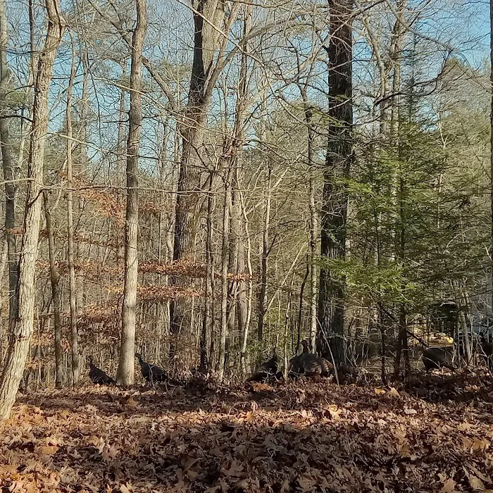 WOODRING CAMPGROUND 6