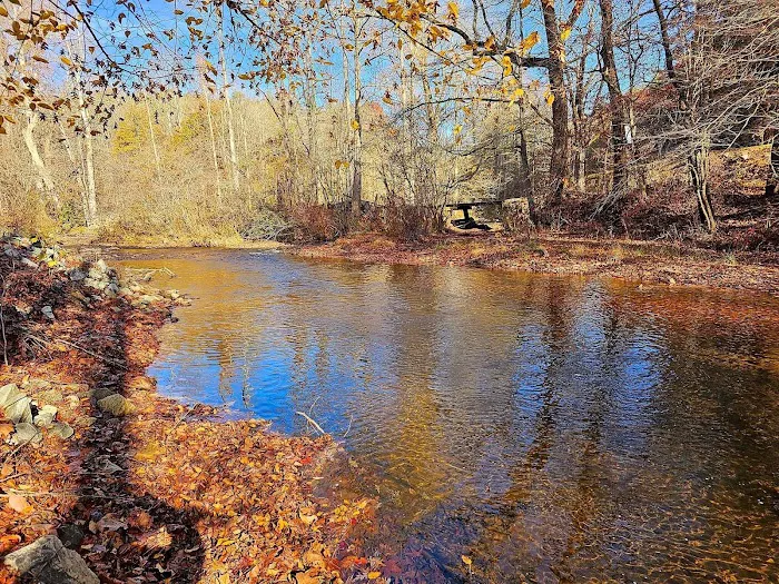 Lake Shalom 8