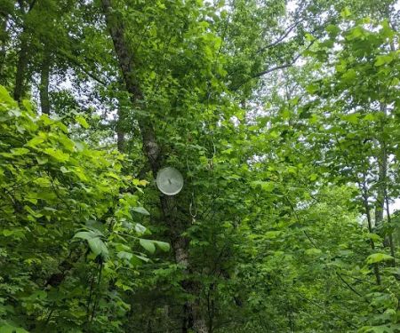 Lance Creek Campsite