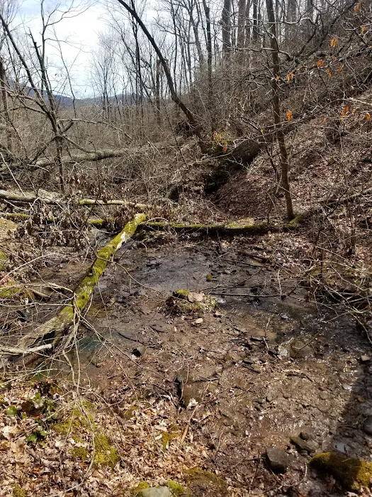 Lance Creek Campsite 2
