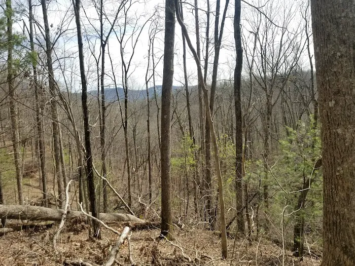 Lance Creek Campsite 8