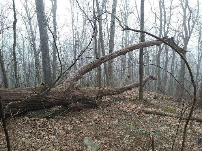 Woods Hole Shelter 10