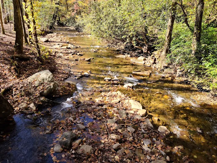 Desoto Falls Recreation Area 4