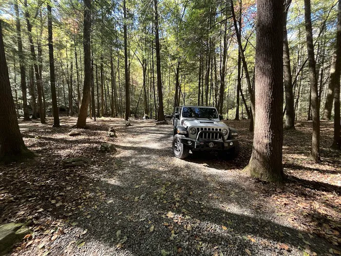 Desoto Falls Recreation Area 5