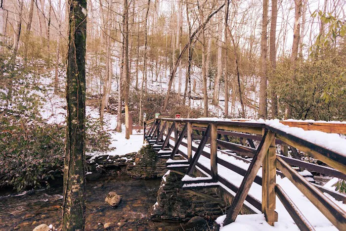 Desoto Falls Recreation Area 7
