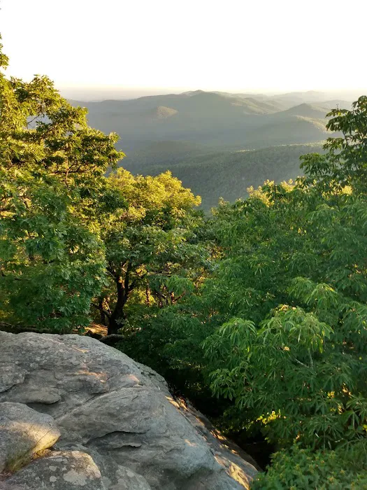 Payne Campground 3