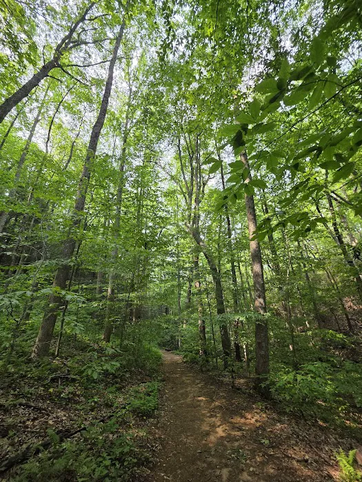 Payne Campground 6