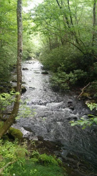 Timberline Glamping at Unicoi State Park 13