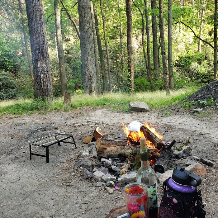 Timberline Glamping at Unicoi State Park 14