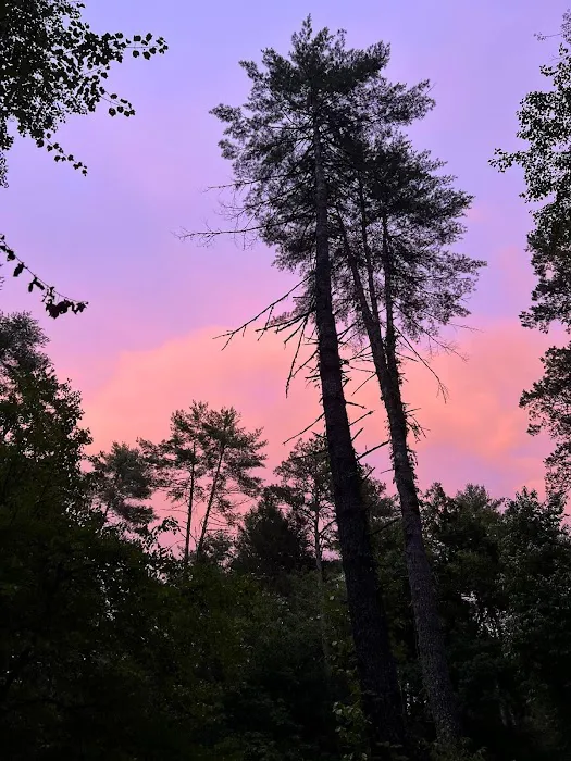 Timberline Glamping at Unicoi State Park 15