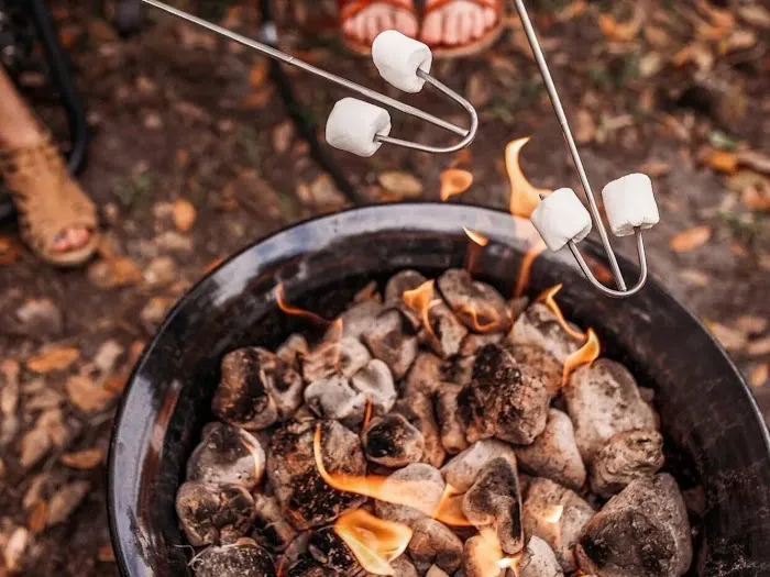 Timberline Glamping at Unicoi State Park 29