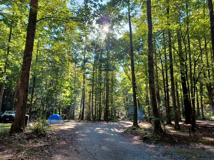 AT Campsite 14
