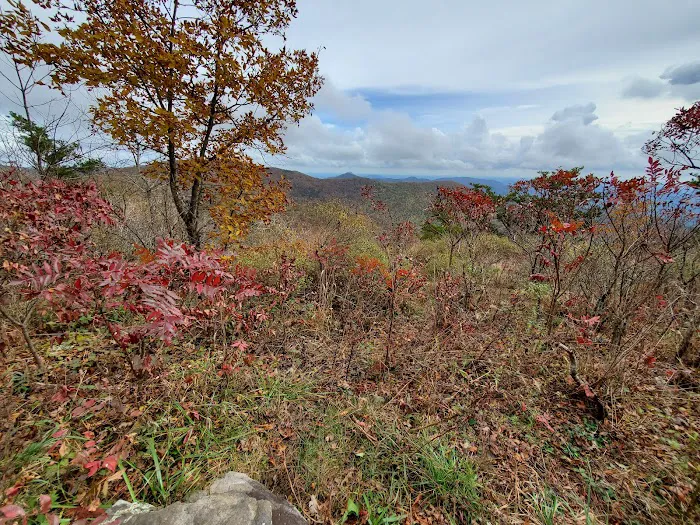 Chattooga River Lodge and Campground 3