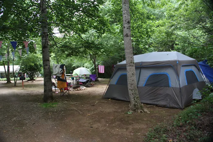 Thrifts Ferry Campground 1