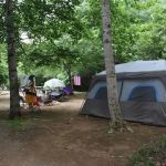 Thrifts Ferry Campground