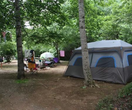 Thrifts Ferry Campground