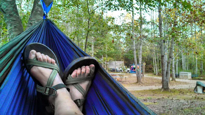 Thrifts Ferry Campground 3