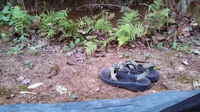 Thrifts Ferry Campground 4