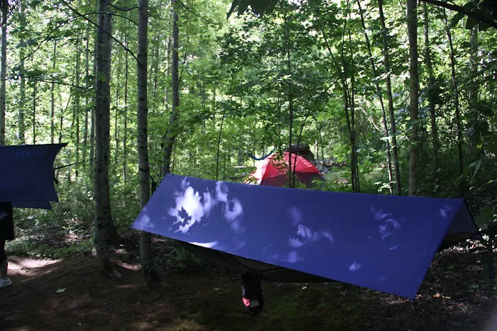 Thrifts Ferry Campground 6