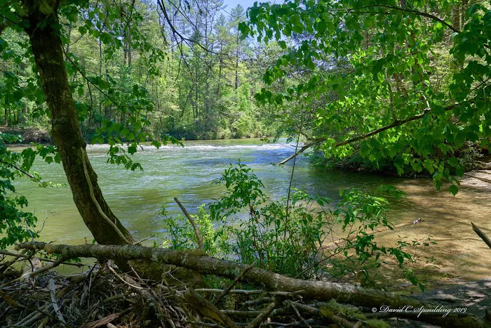 Thrifts Ferry Campground 13