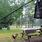 Taylors Mobile Home Park