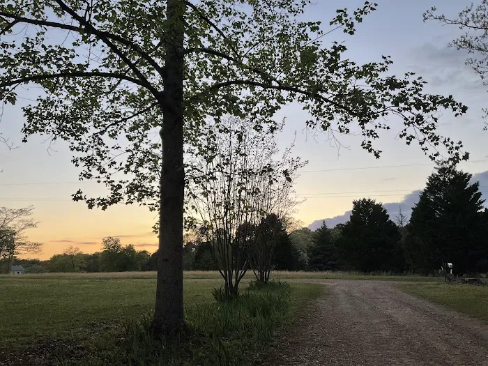 Pond Walk Community 1