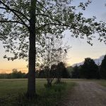 Pond Walk Community
