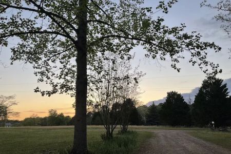 Pond Walk Community