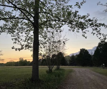 Pond Walk Community