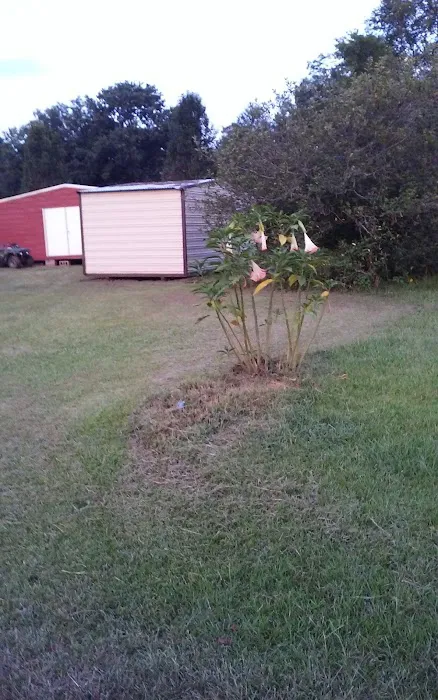 Daisy City Mobile Home Park 3