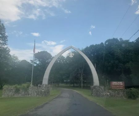 Campsite 13 (Wolverine)