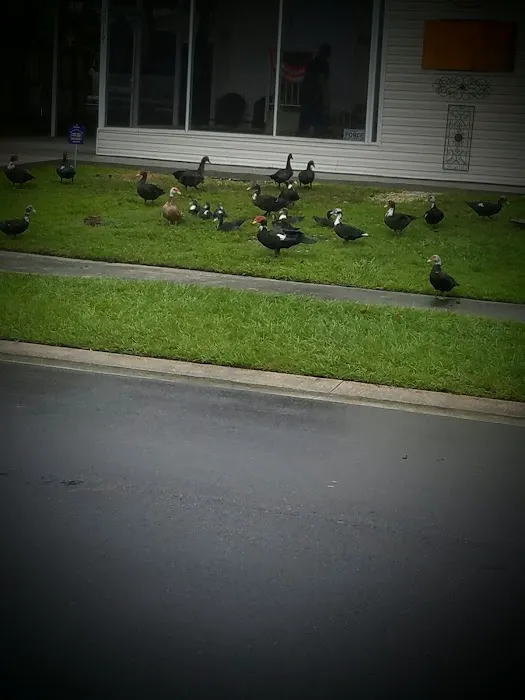 Lynnwood Estates 11