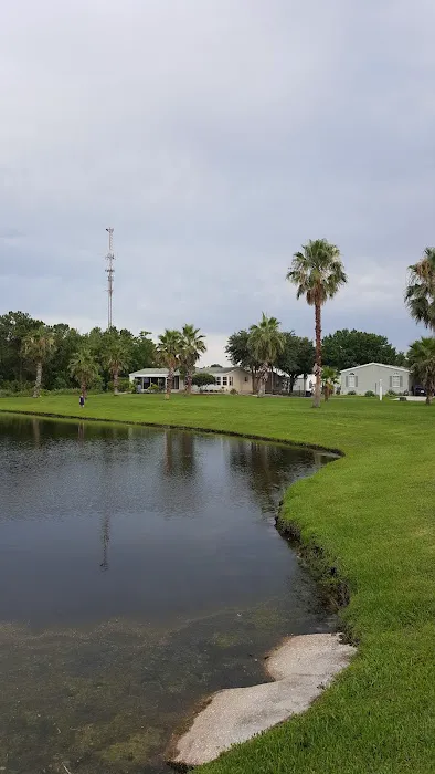 Big Oaks 11