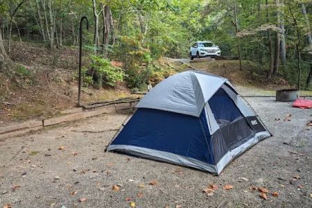 Campsite #35