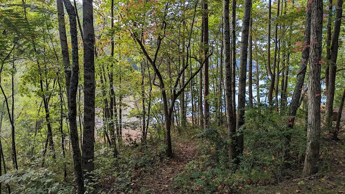 Campsite #35 4