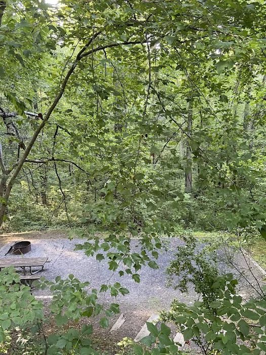 Campsite #35 8