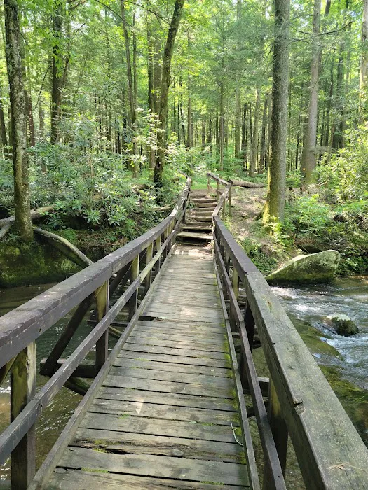 Crossing Creeks RV Resort & Spa 10