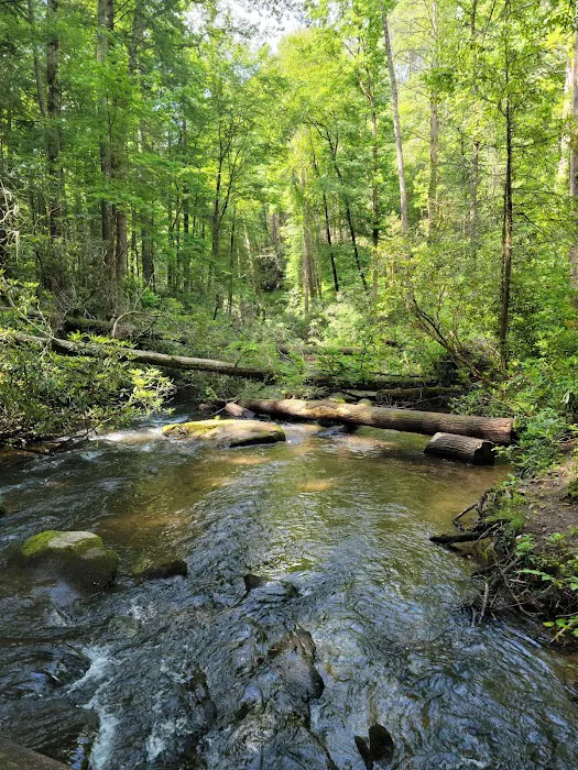 Crossing Creeks RV Resort & Spa 11