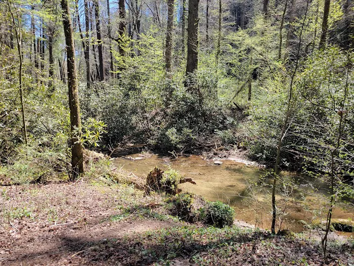 Crossing Creeks RV Resort & Spa 15