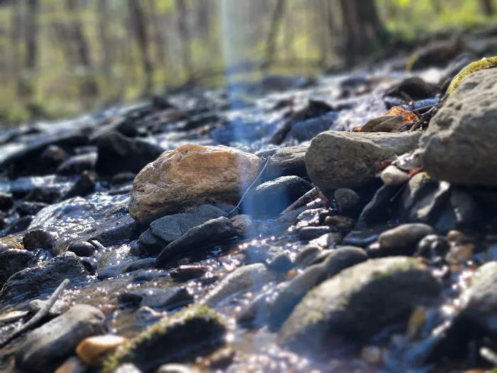 Crossing Creeks RV Resort & Spa 24