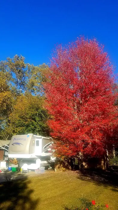 Choestoe Falls RV Park 3