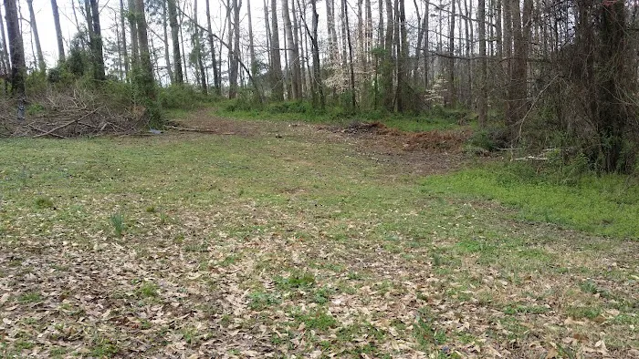 Green Acres 7