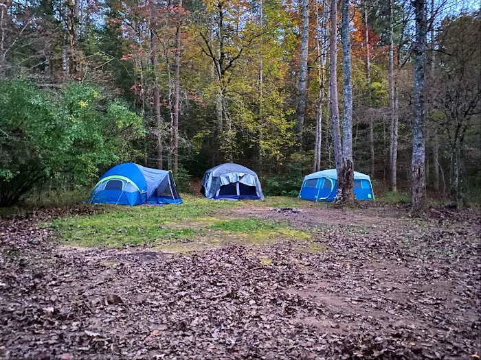 Randy's Horse Camp 2