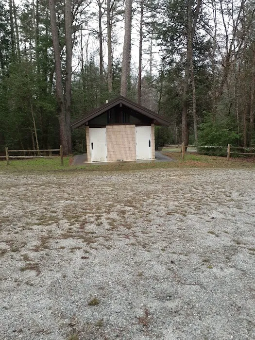 Randy's Horse Camp 8
