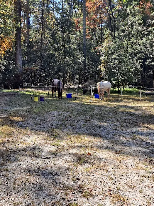 Randy's Horse Camp 10
