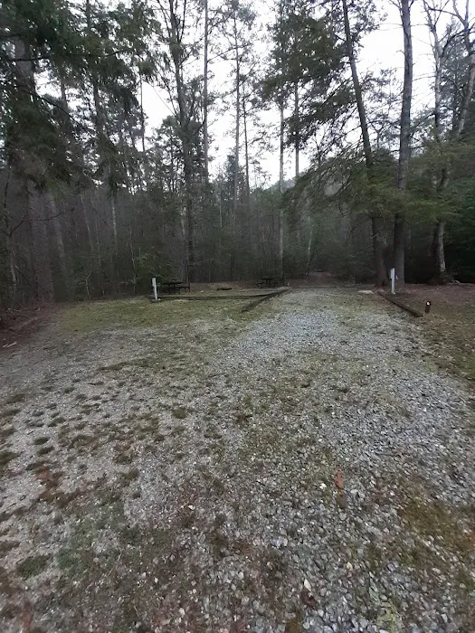 Randy's Horse Camp 11