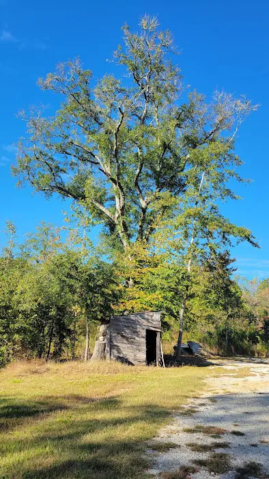 The Bluff on Keowee 4