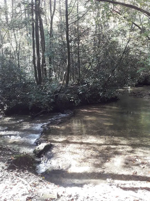 Owls Retreat Campgrounds 1