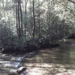 Owls Retreat Campgrounds