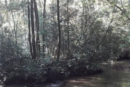Owls Retreat Campgrounds